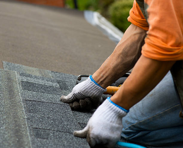 Best Metal Roofing Contractor  in Schuyler, NE