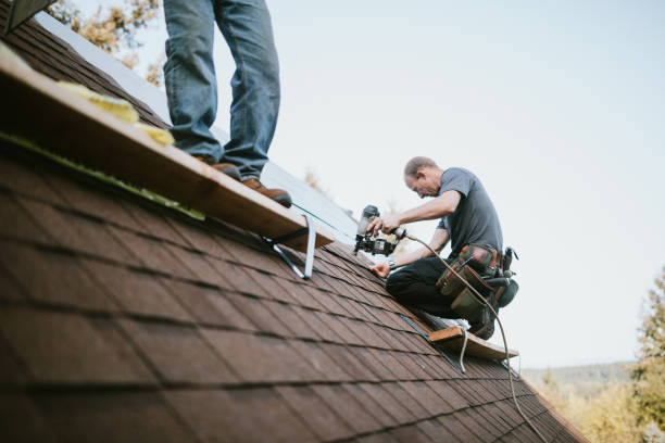 Quick and Trustworthy Emergency Roof Repair Services in Schuyler, NE